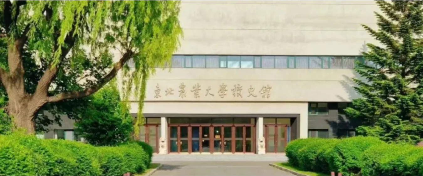 best365官方网站